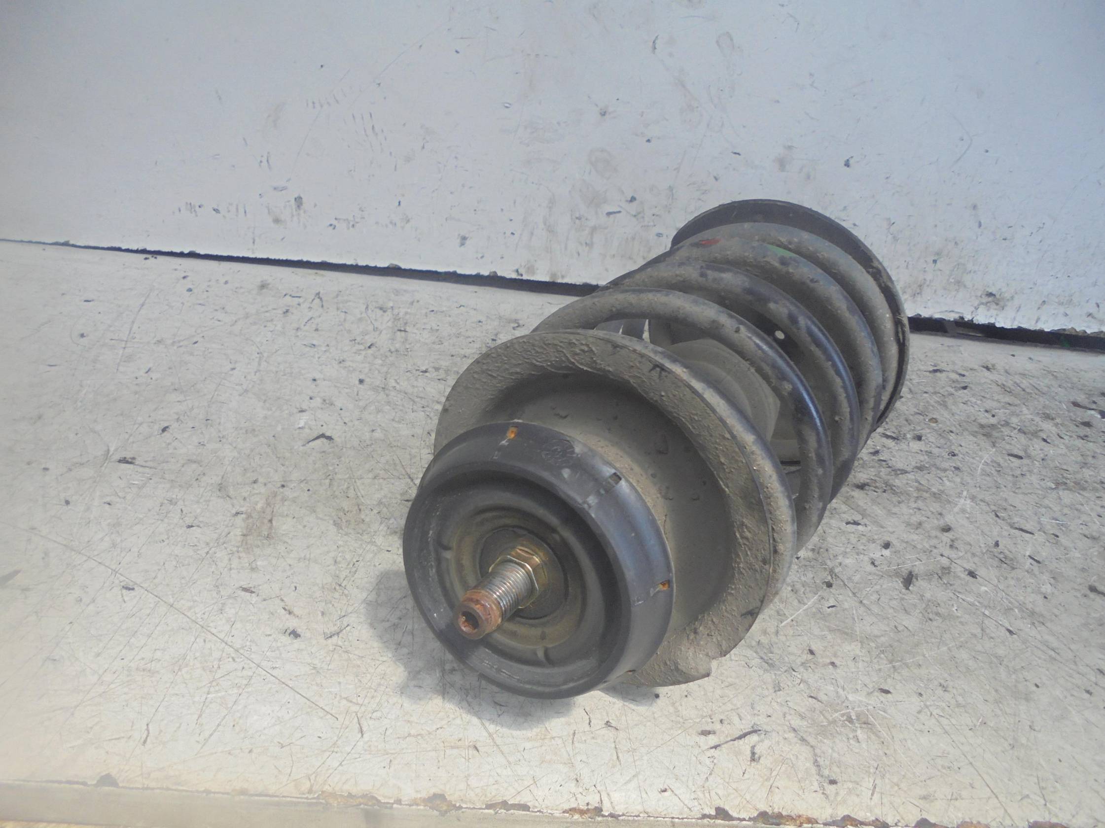 Ammortizzatore ant. sx.